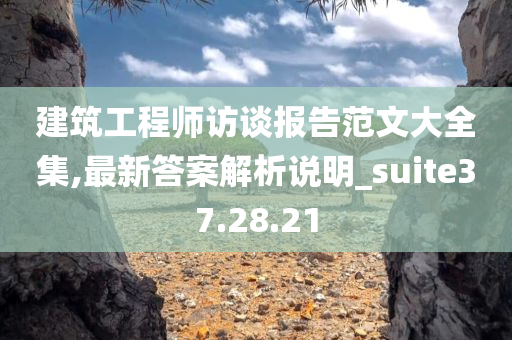 建筑工程师访谈报告范文大全集,最新答案解析说明_suite37.28.21