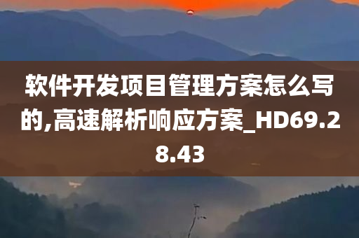 软件开发项目管理方案怎么写的,高速解析响应方案_HD69.28.43