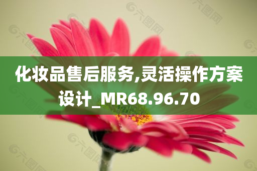 化妆品售后服务,灵活操作方案设计_MR68.96.70