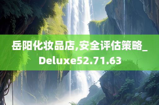 岳阳化妆品店,安全评估策略_Deluxe52.71.63