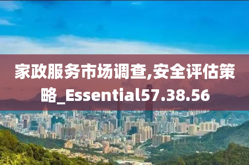 家政服务市场调查,安全评估策略_Essential57.38.56