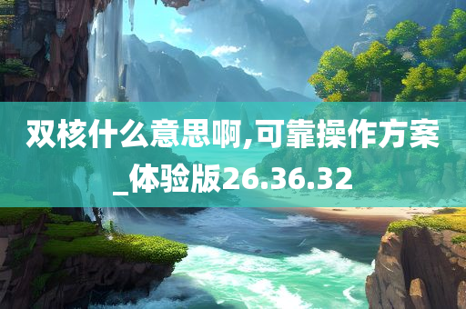 双核什么意思啊,可靠操作方案_体验版26.36.32