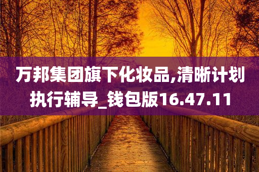 万邦集团旗下化妆品,清晰计划执行辅导_钱包版16.47.11