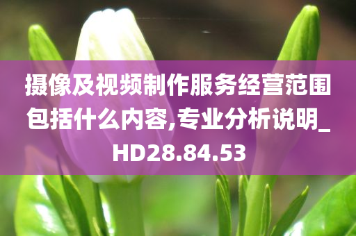 摄像及视频制作服务经营范围包括什么内容,专业分析说明_HD28.84.53