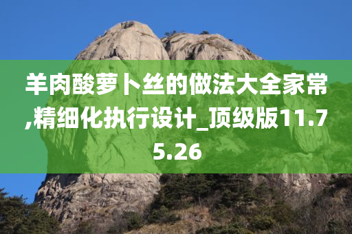 羊肉酸萝卜丝的做法大全家常,精细化执行设计_顶级版11.75.26