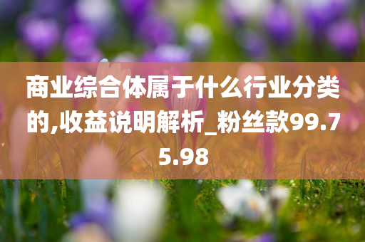 商业综合体属于什么行业分类的,收益说明解析_粉丝款99.75.98