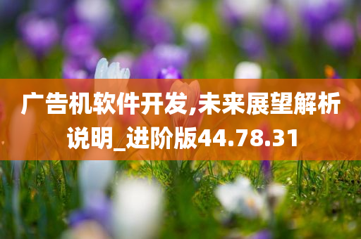 广告机软件开发,未来展望解析说明_进阶版44.78.31