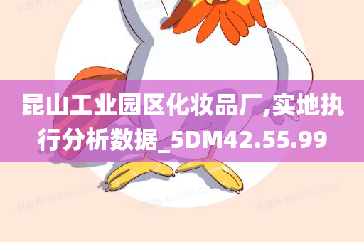 昆山工业园区化妆品厂,实地执行分析数据_5DM42.55.99