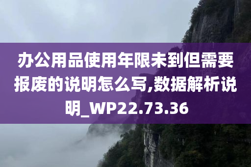 办公用品使用年限未到但需要报废的说明怎么写,数据解析说明_WP22.73.36