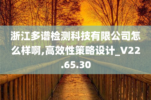 浙江多谱检测科技有限公司怎么样啊,高效性策略设计_V22.65.30