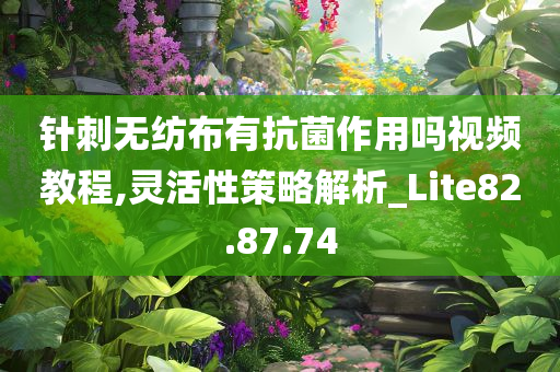 针刺无纺布有抗菌作用吗视频教程,灵活性策略解析_Lite82.87.74