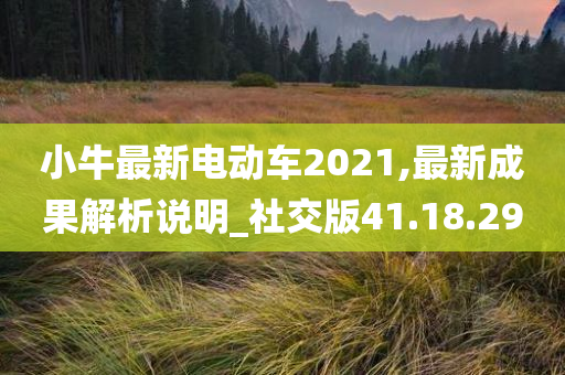 小牛最新电动车2021,最新成果解析说明_社交版41.18.29