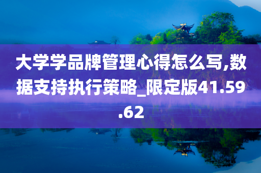 大学学品牌管理心得怎么写,数据支持执行策略_限定版41.59.62