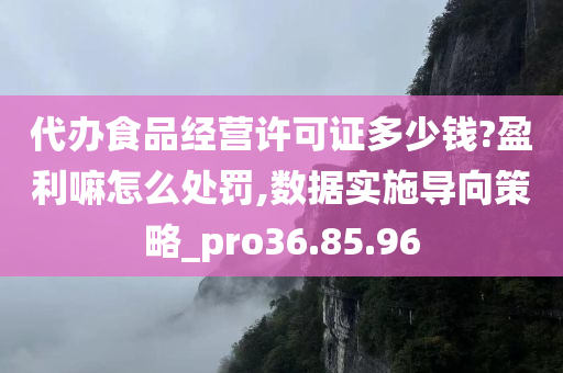 代办食品经营许可证多少钱?盈利嘛怎么处罚,数据实施导向策略_pro36.85.96