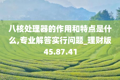 八核处理器的作用和特点是什么,专业解答实行问题_理财版45.87.41