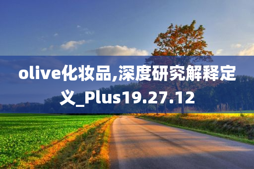 olive化妆品,深度研究解释定义_Plus19.27.12