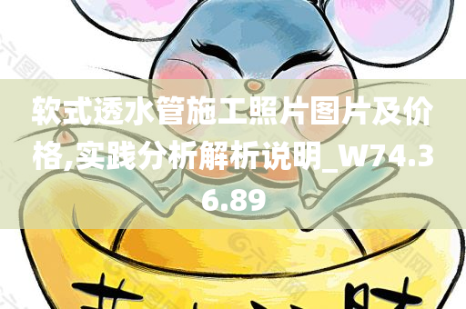 软式透水管施工照片图片及价格,实践分析解析说明_W74.36.89