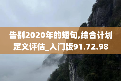 告别2020年的短句,综合计划定义评估_入门版91.72.98