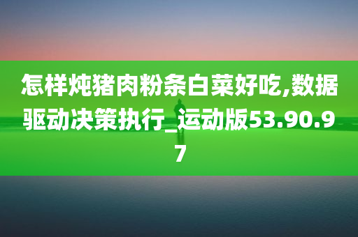 怎样炖猪肉粉条白菜好吃,数据驱动决策执行_运动版53.90.97