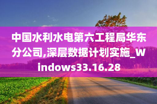 中国水利水电第六工程局华东分公司,深层数据计划实施_Windows33.16.28