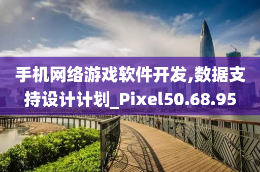 手机网络游戏软件开发,数据支持设计计划_Pixel50.68.95