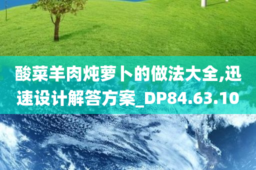 酸菜羊肉炖萝卜的做法大全,迅速设计解答方案_DP84.63.10