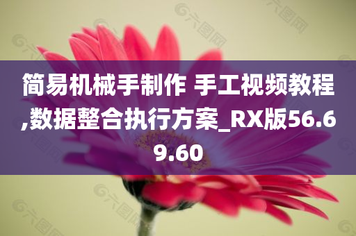 简易机械手制作 手工视频教程,数据整合执行方案_RX版56.69.60