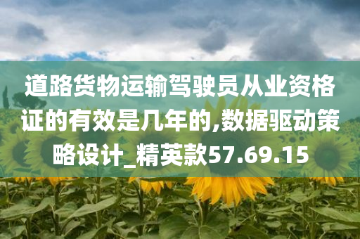 道路货物运输驾驶员从业资格证的有效是几年的,数据驱动策略设计_精英款57.69.15