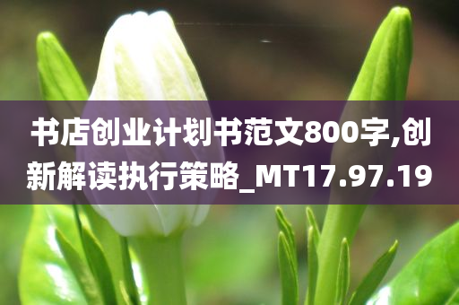 书店创业计划书范文800字,创新解读执行策略_MT17.97.19