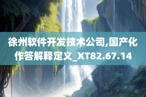 徐州软件开发技术公司,国产化作答解释定义_XT82.67.14