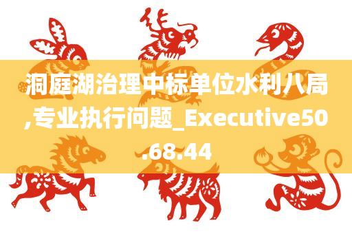 洞庭湖治理中标单位水利八局,专业执行问题_Executive50.68.44