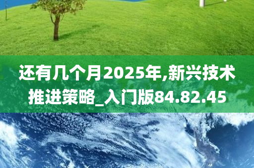 还有几个月2025年,新兴技术推进策略_入门版84.82.45