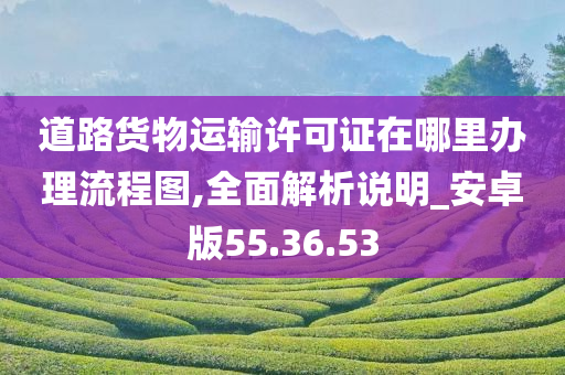 道路货物运输许可证在哪里办理流程图,全面解析说明_安卓版55.36.53