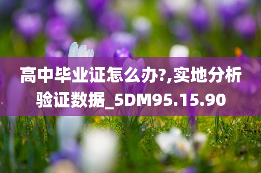 高中毕业证怎么办?,实地分析验证数据_5DM95.15.90