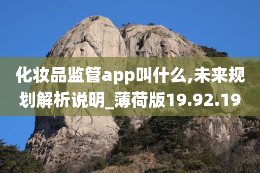 化妆品监管app叫什么,未来规划解析说明_薄荷版19.92.19