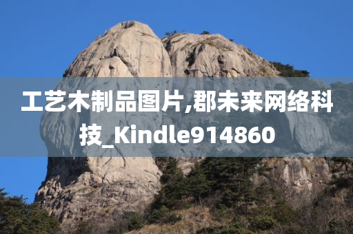 工艺木制品图片,郡未来网络科技_Kindle914860