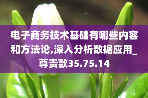 电子商务技术基础有哪些内容和方法论,深入分析数据应用_尊贵款35.75.14