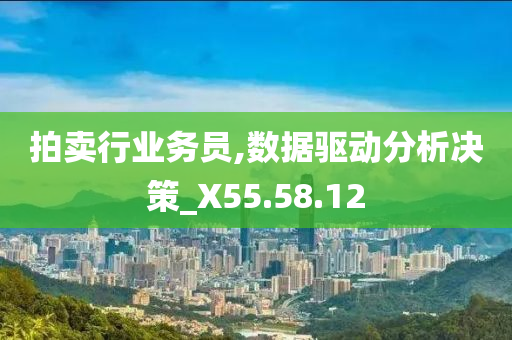 拍卖行业务员,数据驱动分析决策_X55.58.12