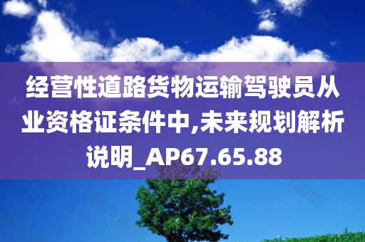 经营性道路货物运输驾驶员从业资格证条件中,未来规划解析说明_AP67.65.88