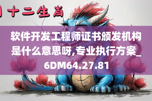 软件开发工程师证书颁发机构是什么意思呀,专业执行方案_6DM64.27.81