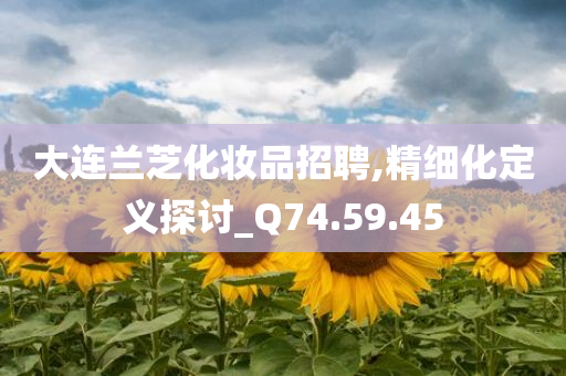 大连兰芝化妆品招聘,精细化定义探讨_Q74.59.45