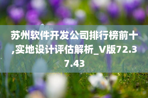 苏州软件开发公司排行榜前十,实地设计评估解析_V版72.37.43