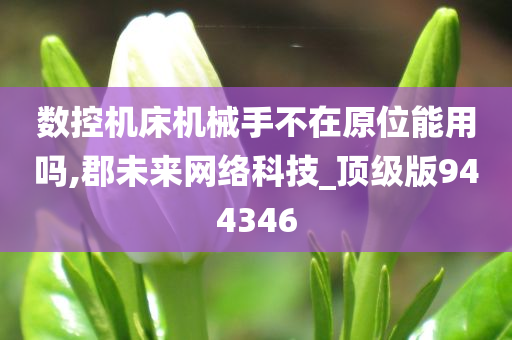 数控机床机械手不在原位能用吗,郡未来网络科技_顶级版944346