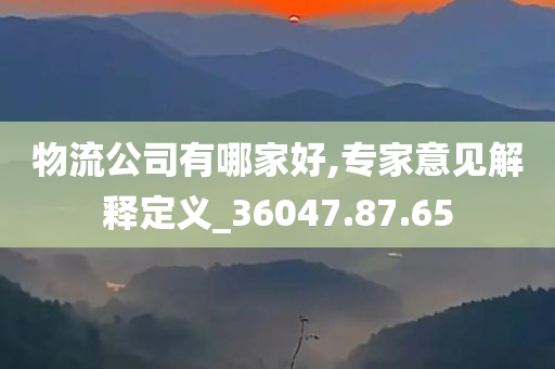 物流公司有哪家好,专家意见解释定义_36047.87.65