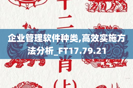 企业管理软件种类,高效实施方法分析_FT17.79.21