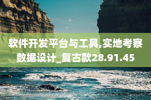 软件开发平台与工具,实地考察数据设计_复古款28.91.45