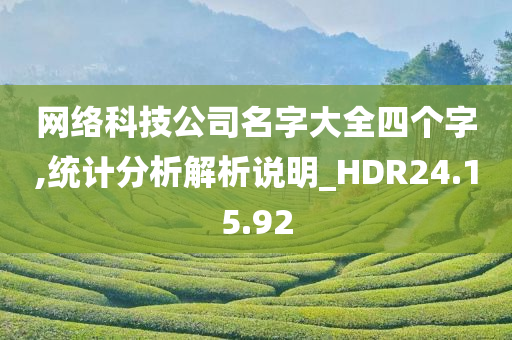 网络科技公司名字大全四个字,统计分析解析说明_HDR24.15.92