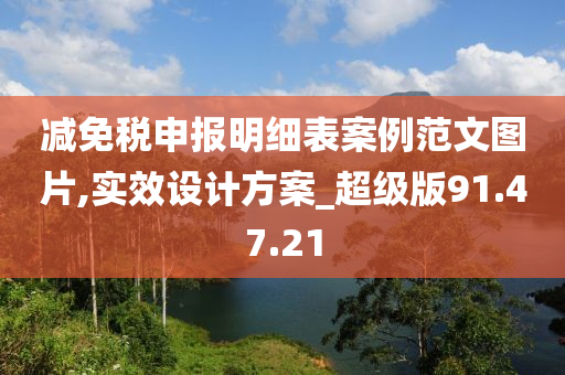 减免税申报明细表案例范文图片,实效设计方案_超级版91.47.21