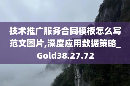 技术推广服务合同模板怎么写范文图片,深度应用数据策略_Gold38.27.72