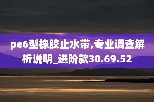 pe6型橡胶止水带,专业调查解析说明_进阶款30.69.52